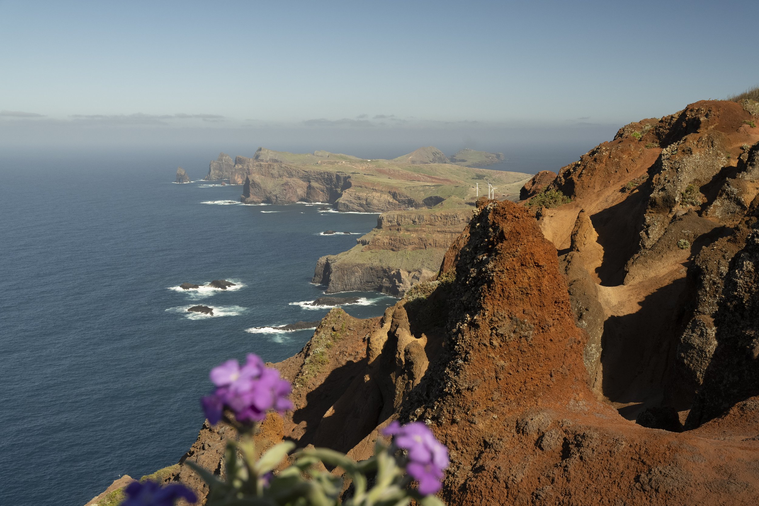 Madeira 2026-98.jpg