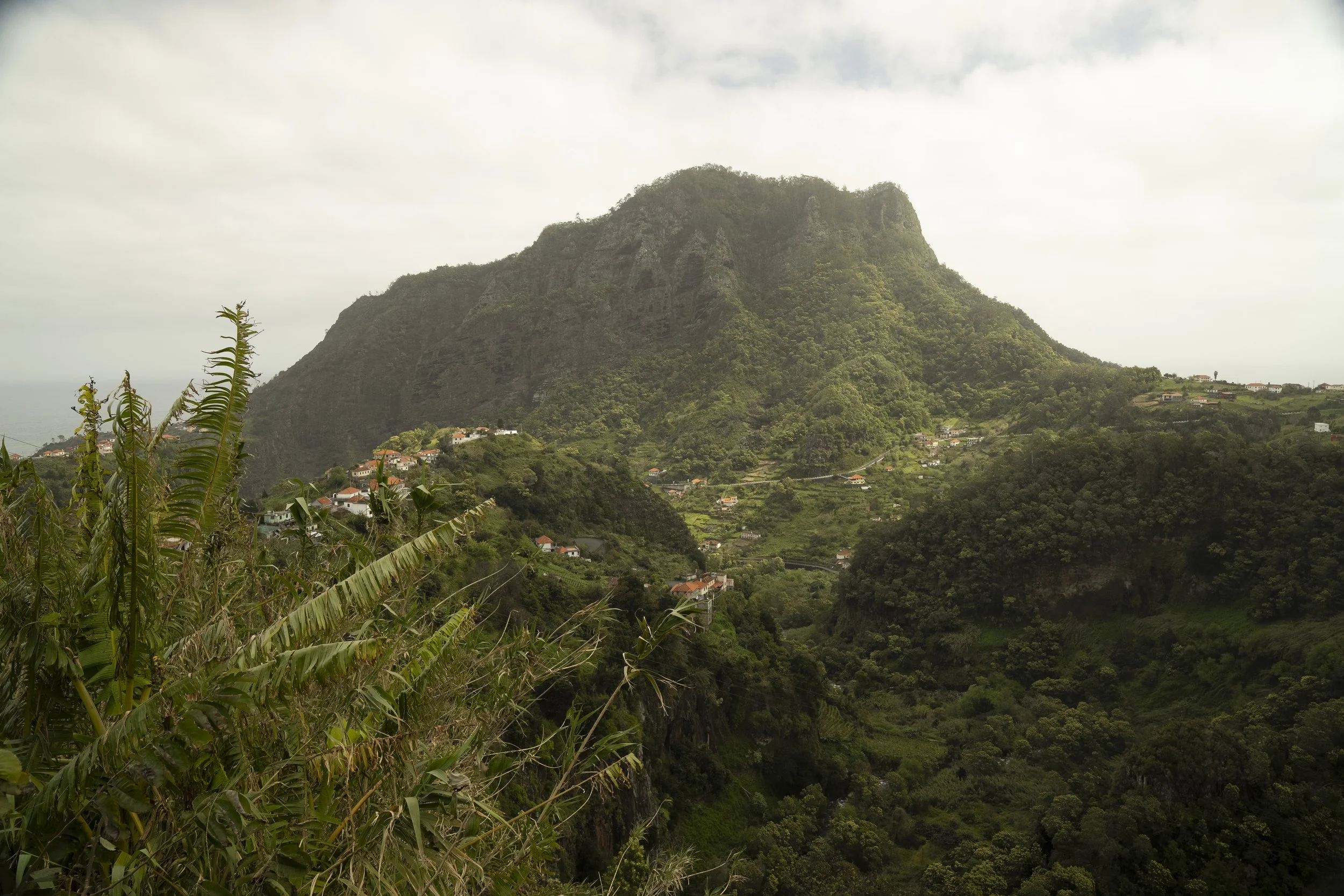 Madeira 2026-35.jpg