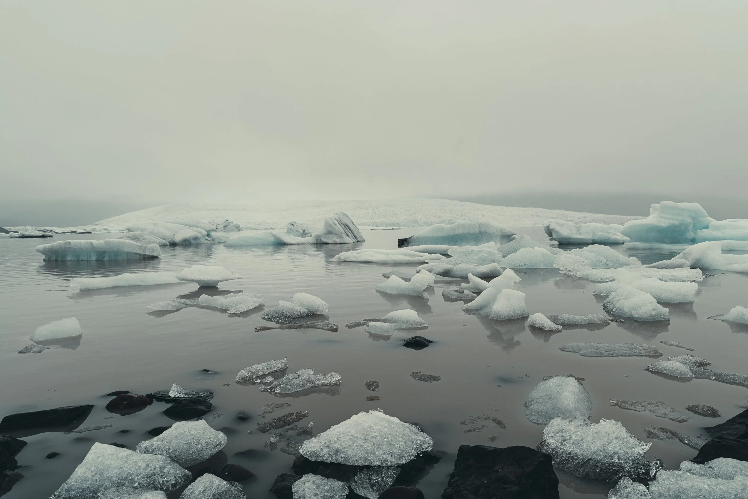 Island 2026-52.jpg