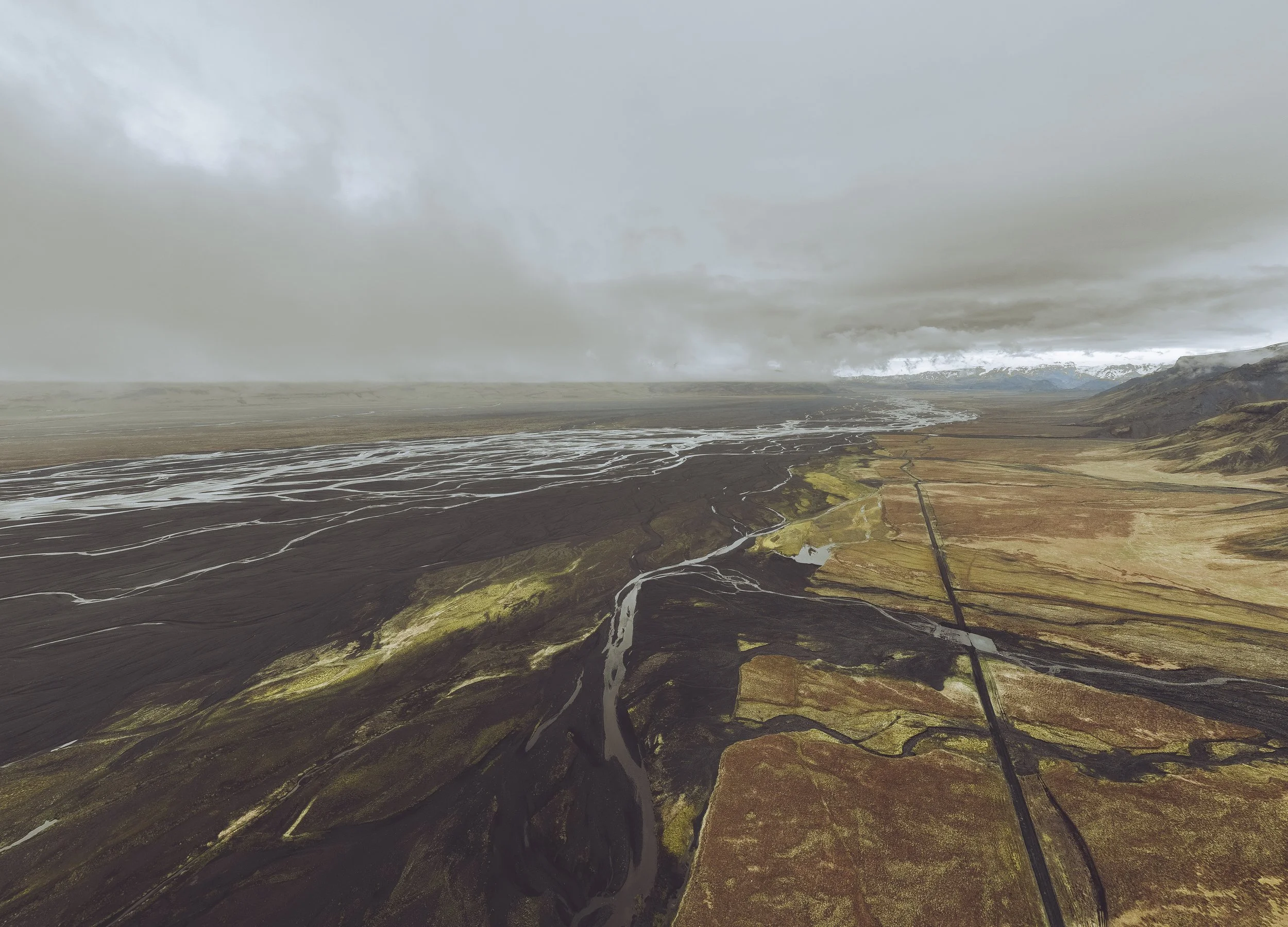 Island 2026-39.jpg