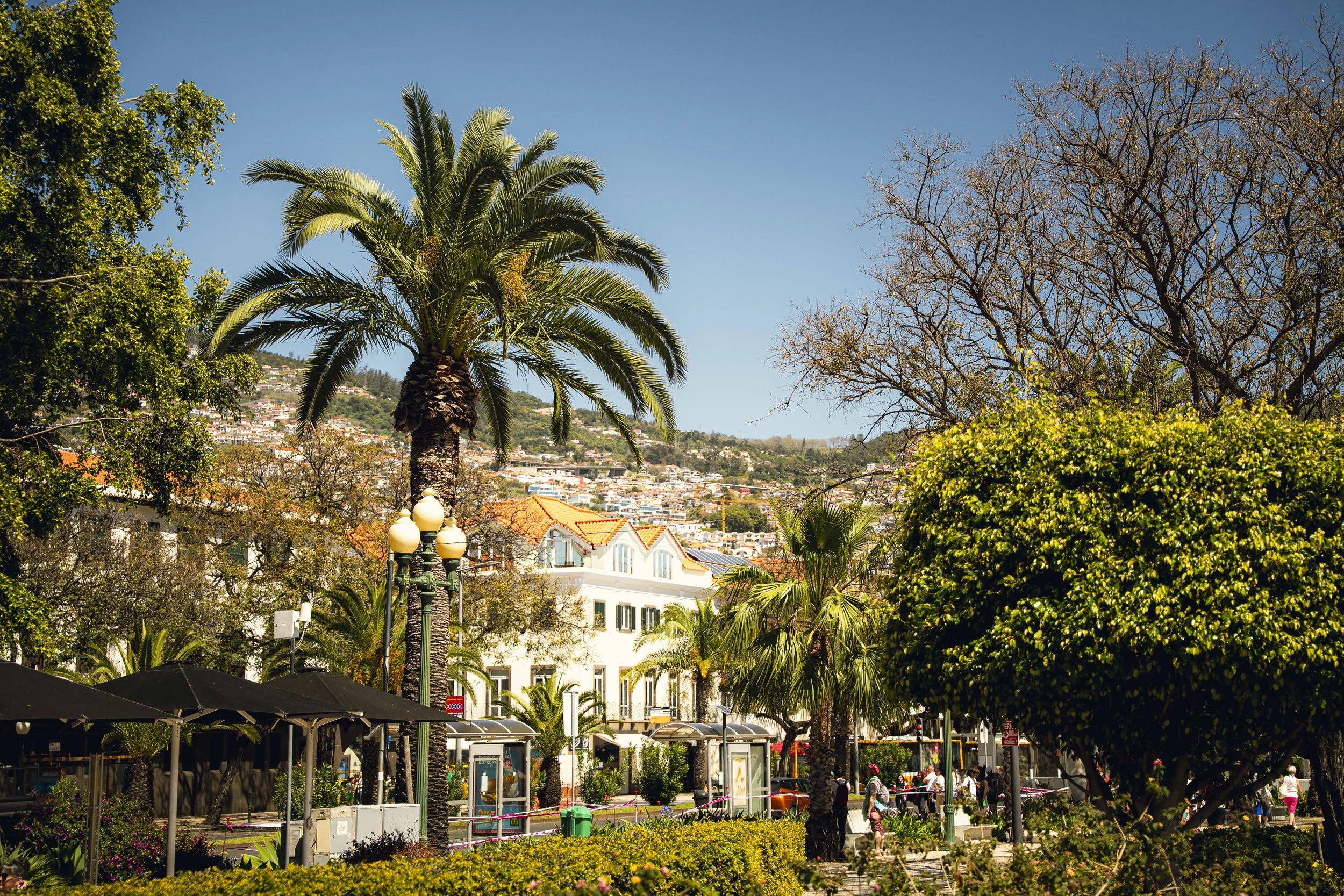 Madeira 2026-117.jpg