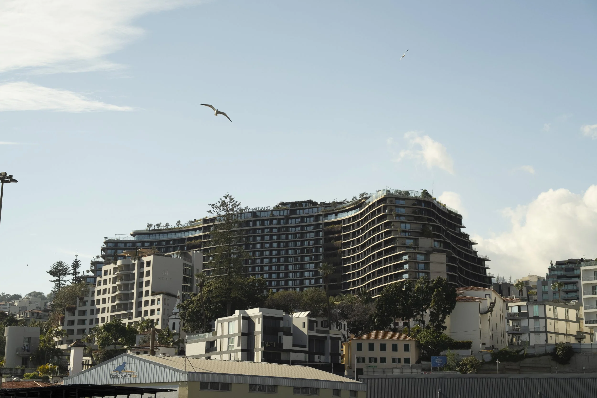 Madeira 2026-16.jpg