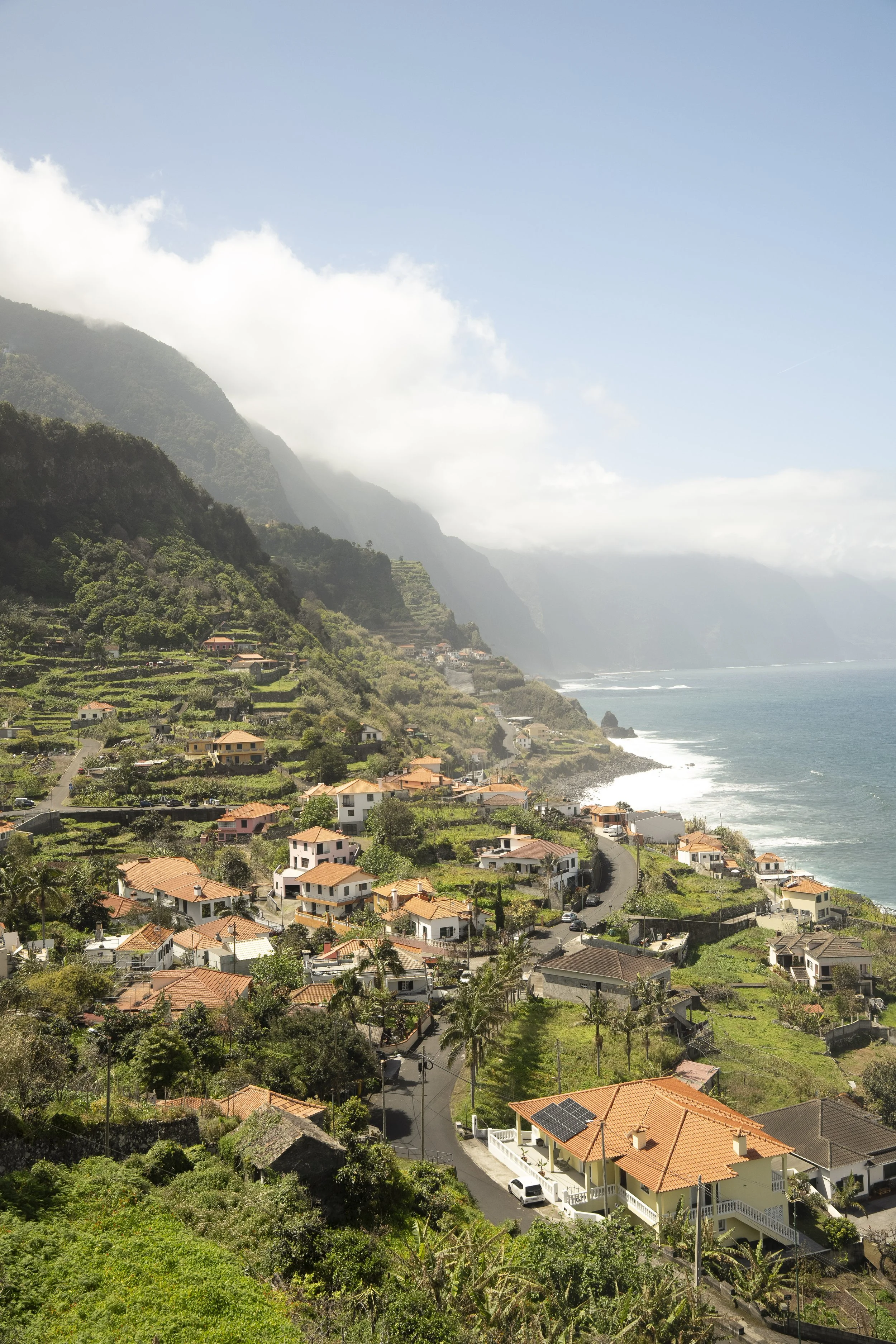 Madeira 2026-59.jpg