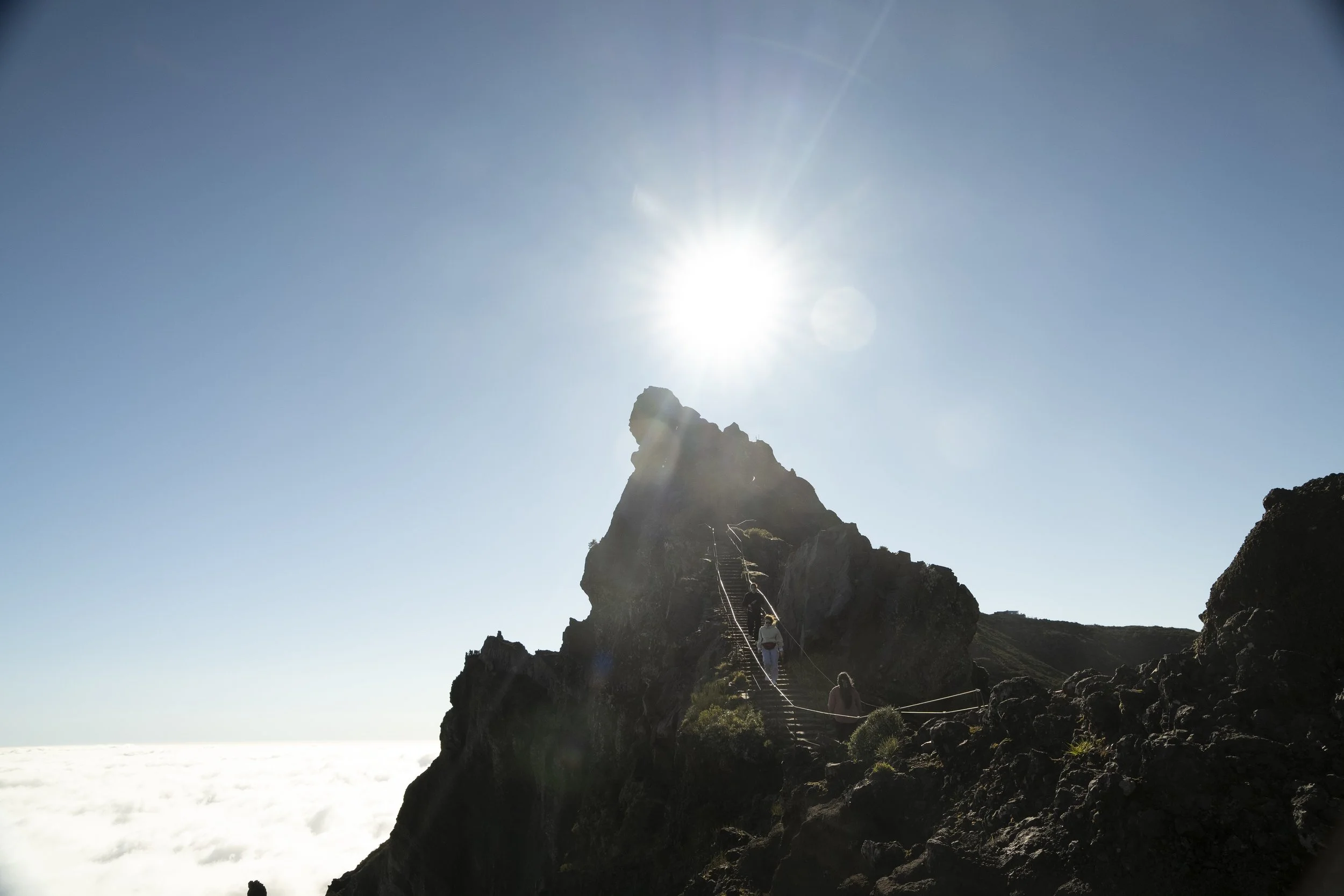 Madeira 2026-30.jpg