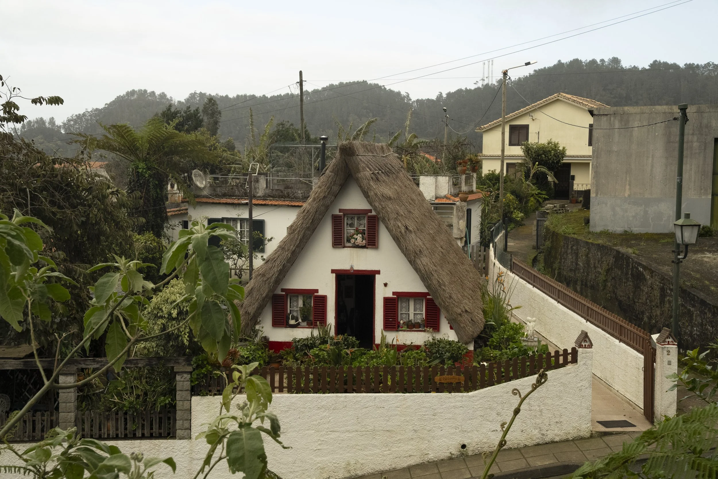 Madeira 2026-49.jpg