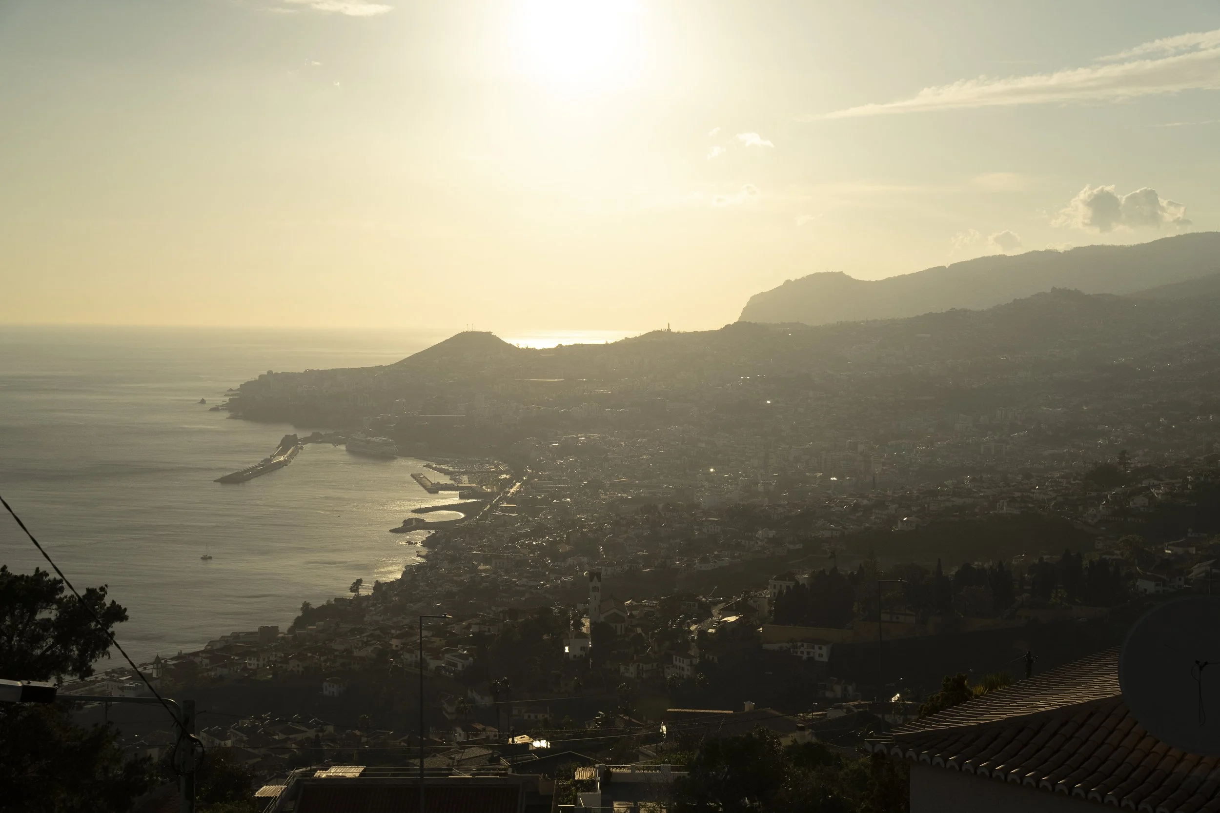 Madeira 2026-19.jpg