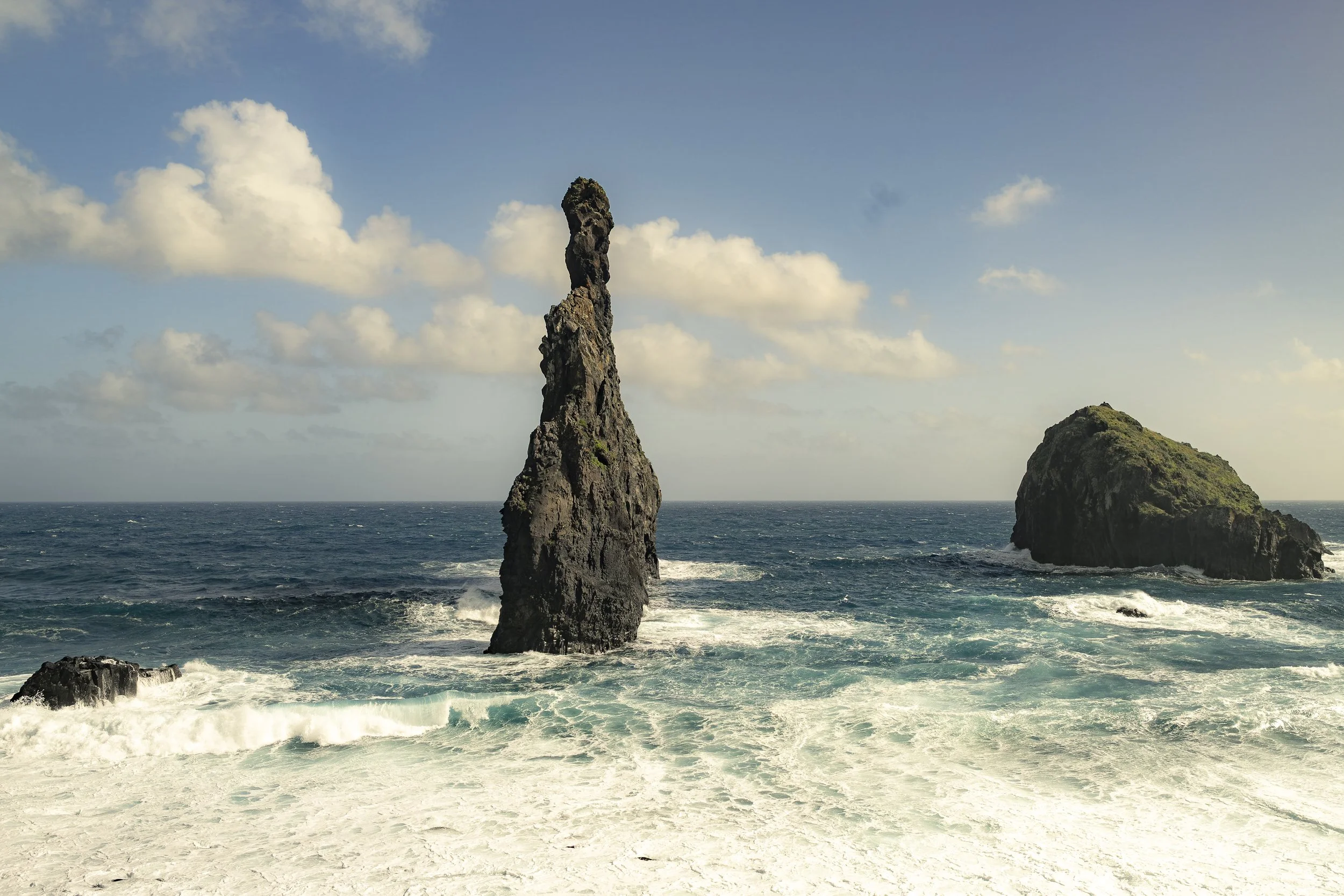 Madeira 2026-81.jpg