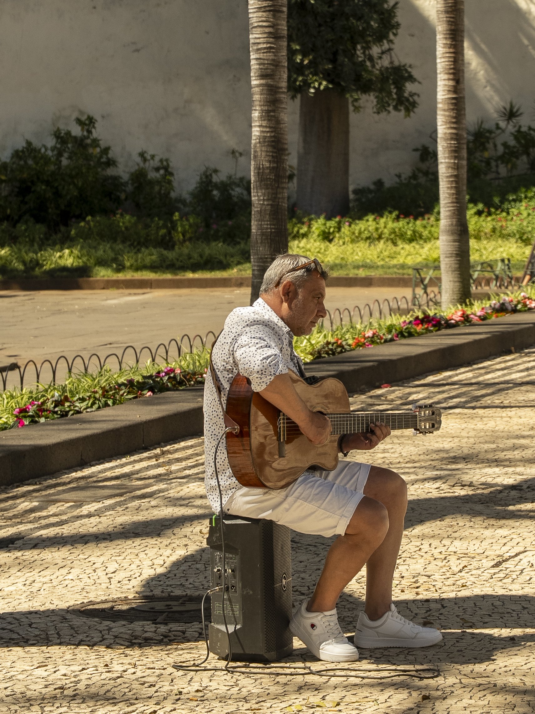 Madeira 2026-116.jpg