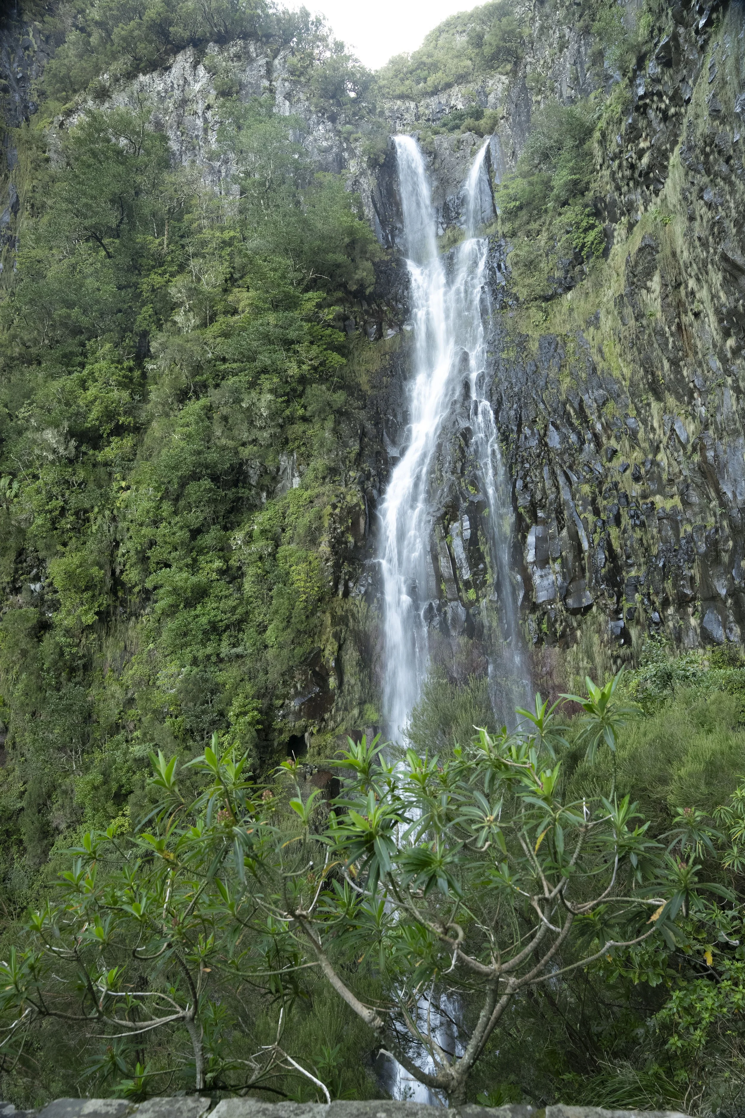 Madeira 2026-88.jpg