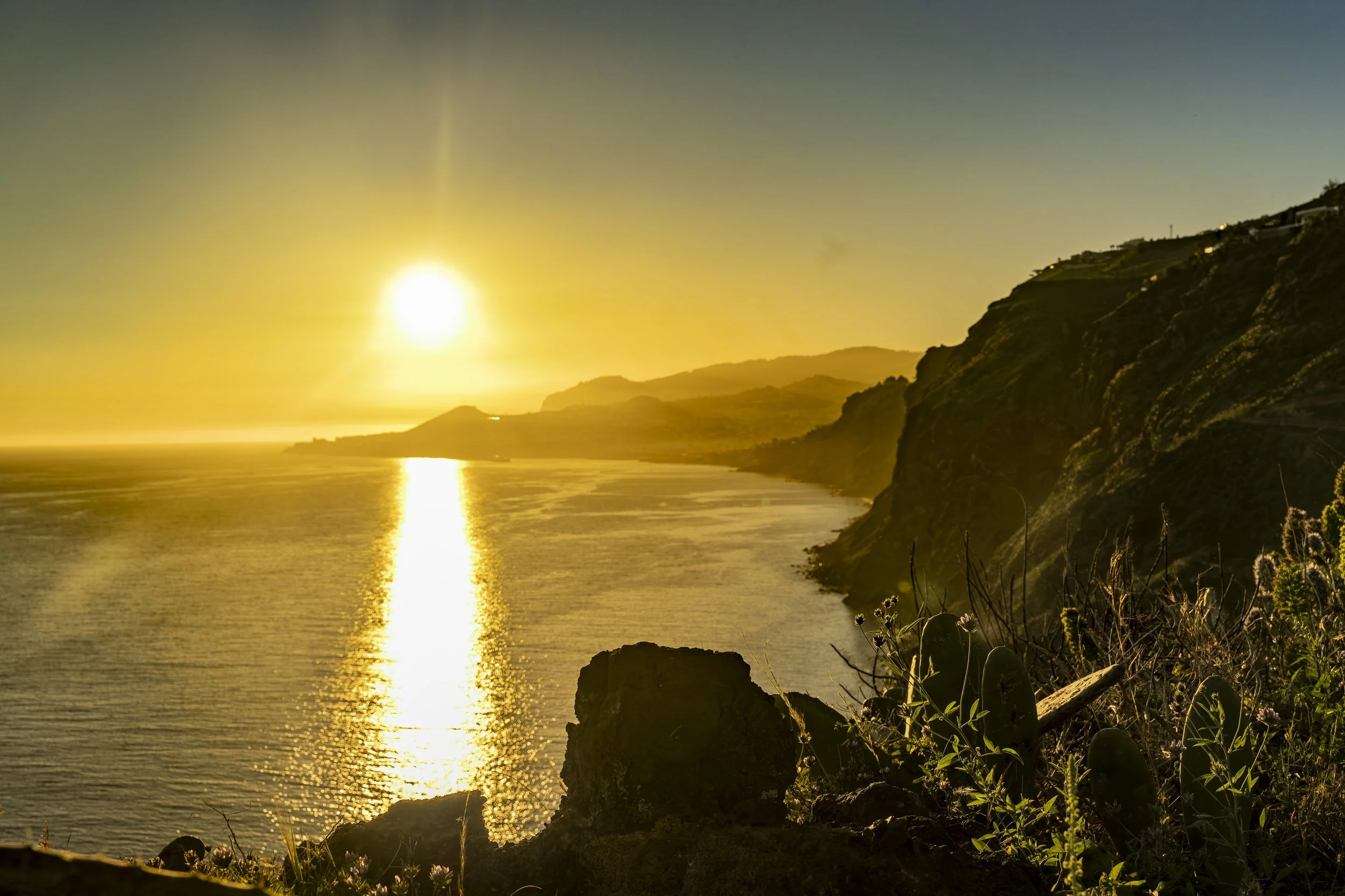 Madeira 2026-106.jpg