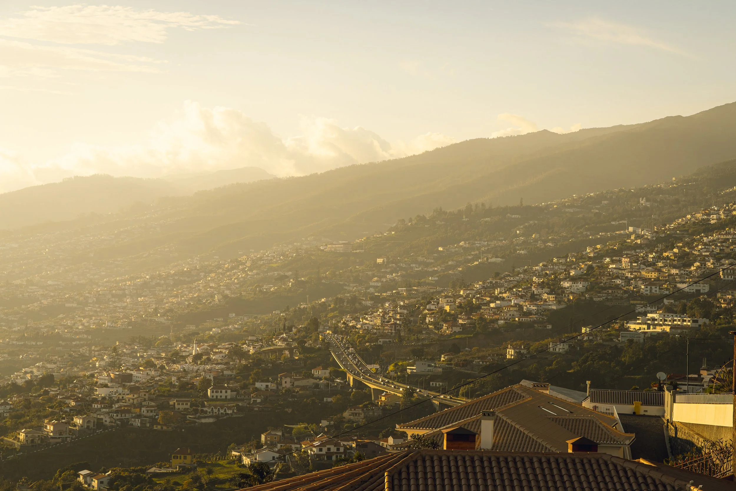 Madeira 2026-20.jpg
