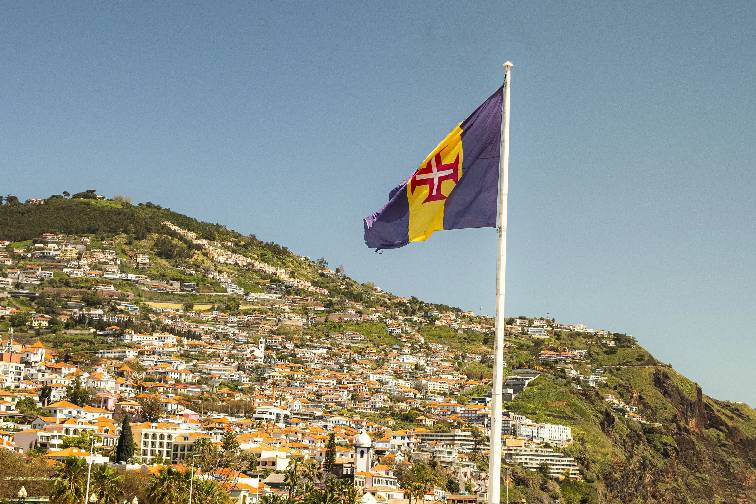 Madeira 2026-118.jpg