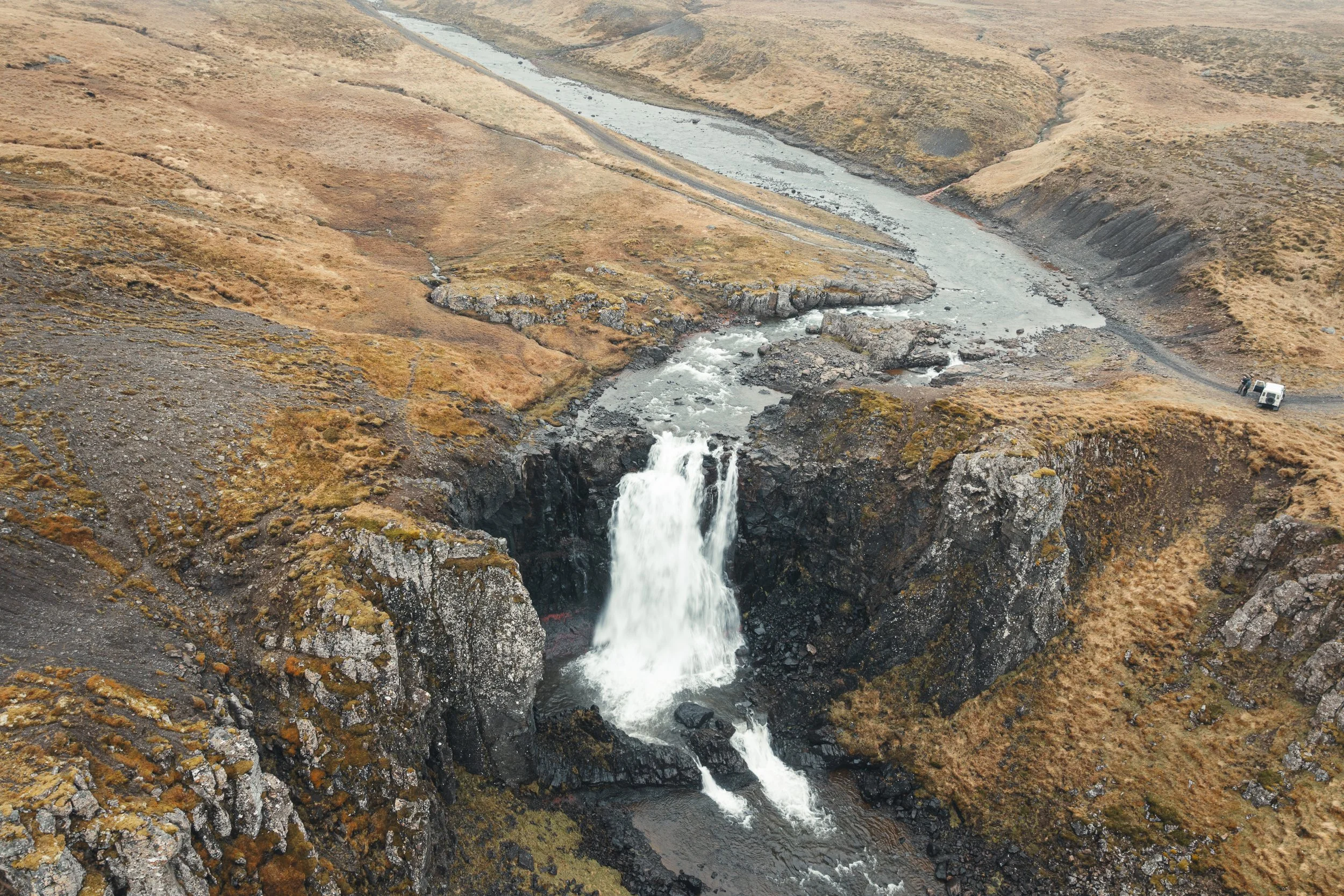 Island 2026-107.jpg