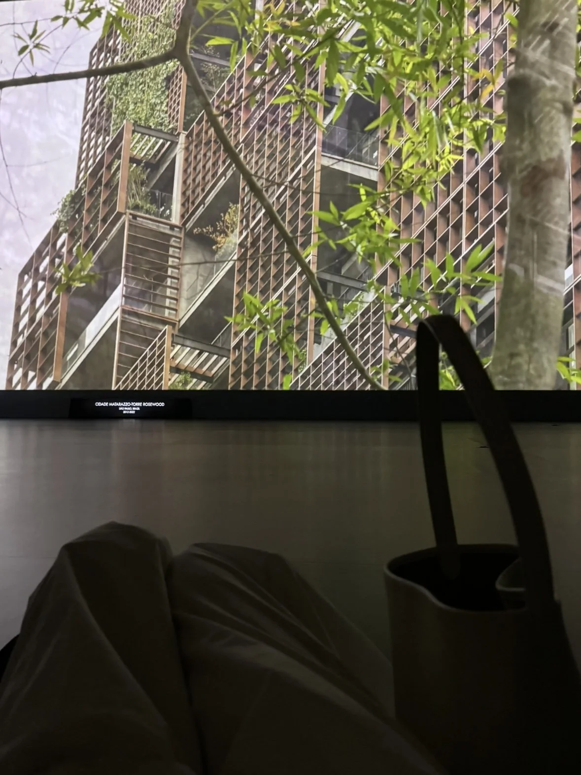 cinematic experience of architecture at MAP