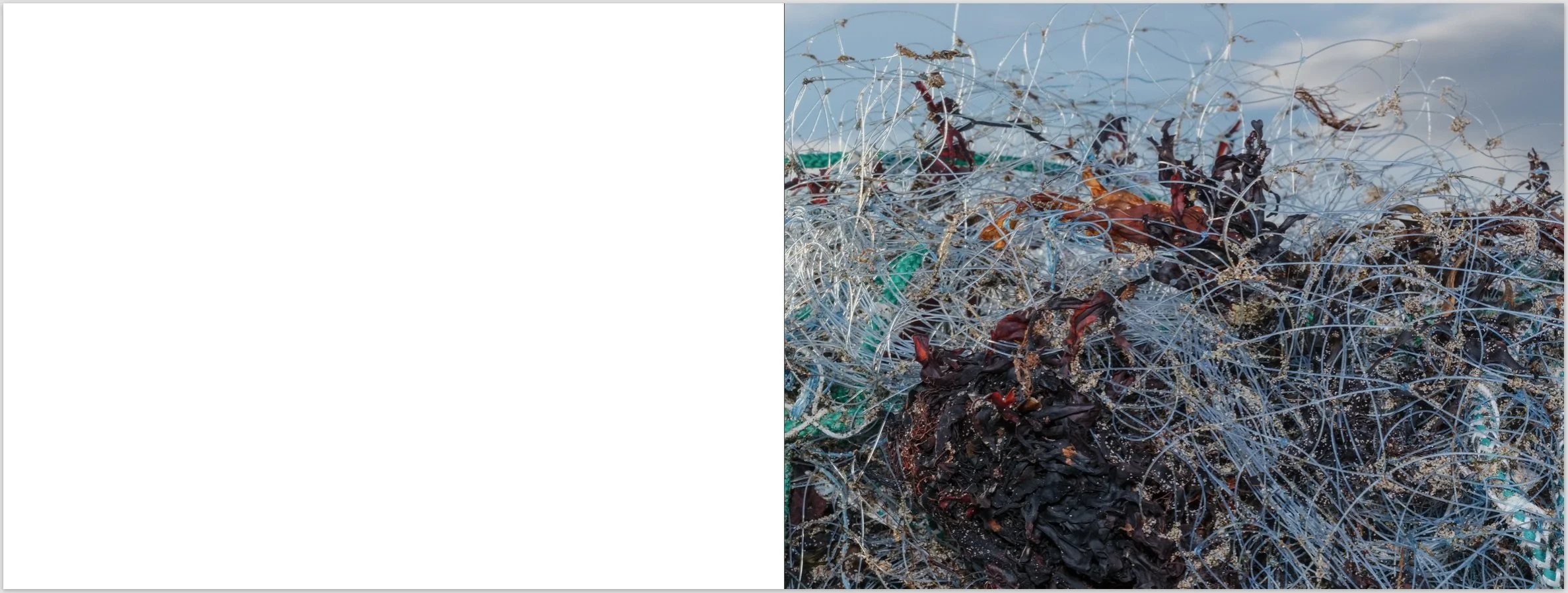 Screenshot 2026-01-19 at 8.35.32 PM.jpeg