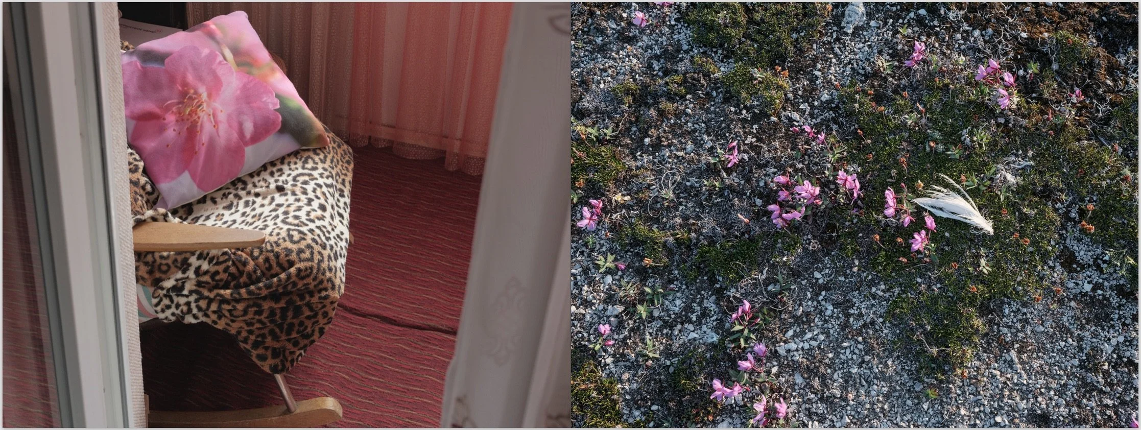 Screenshot 2026-02-04 at 7.54.09 PM.jpeg