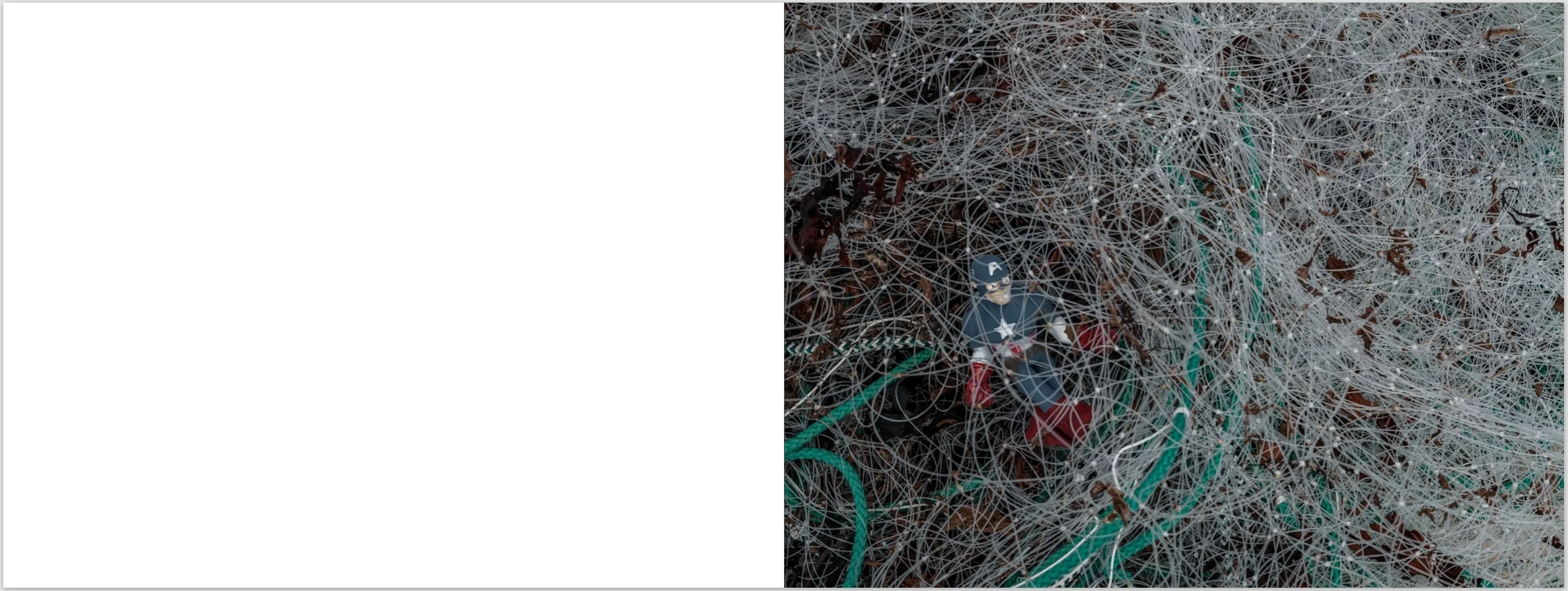 Screenshot 2026-01-19 at 8.35.14 PM.jpeg