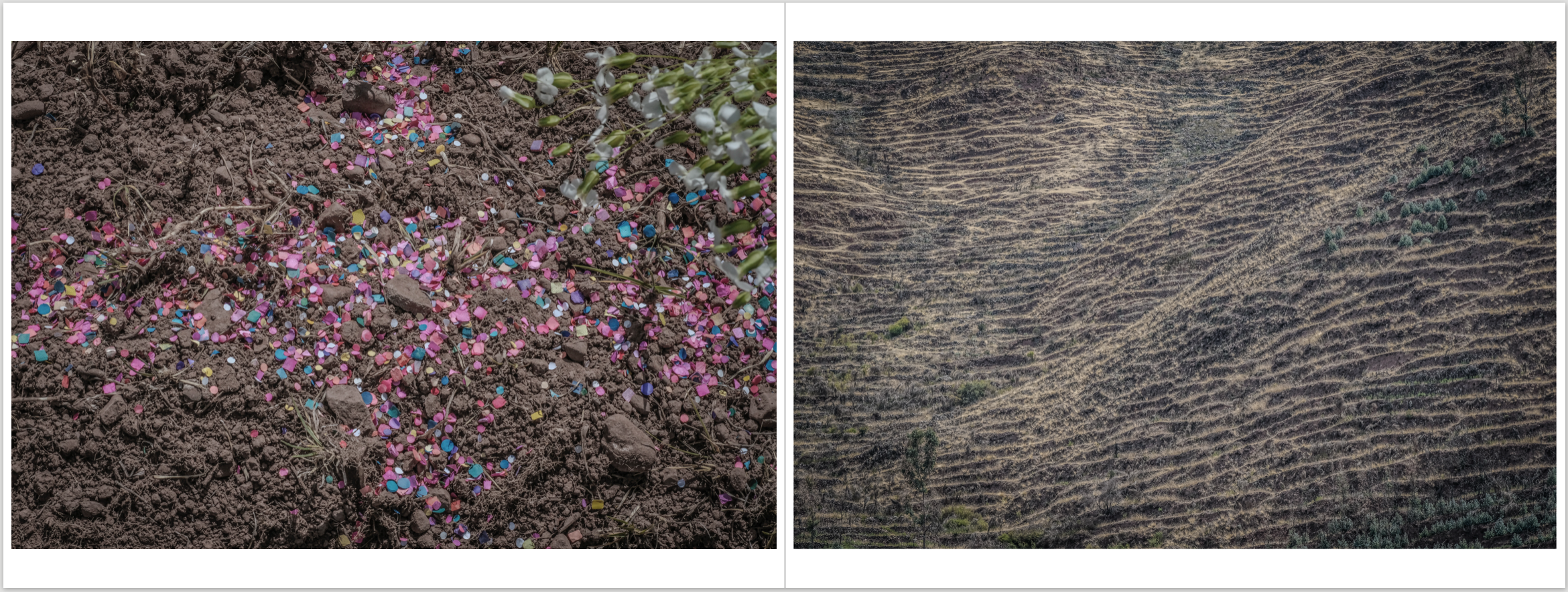 Screenshot 2026-02-04 at 7.17.56 PM.png