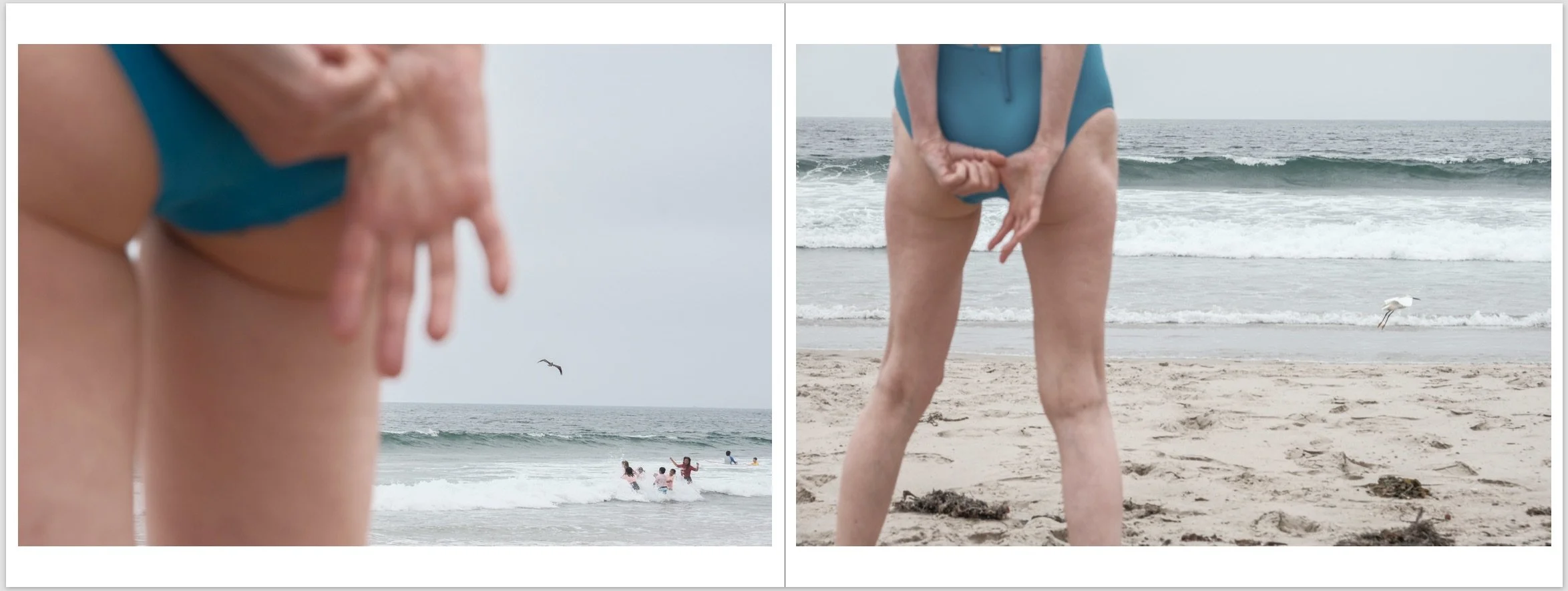 Screenshot 2026-02-04 at 5.35.28 PM.jpeg