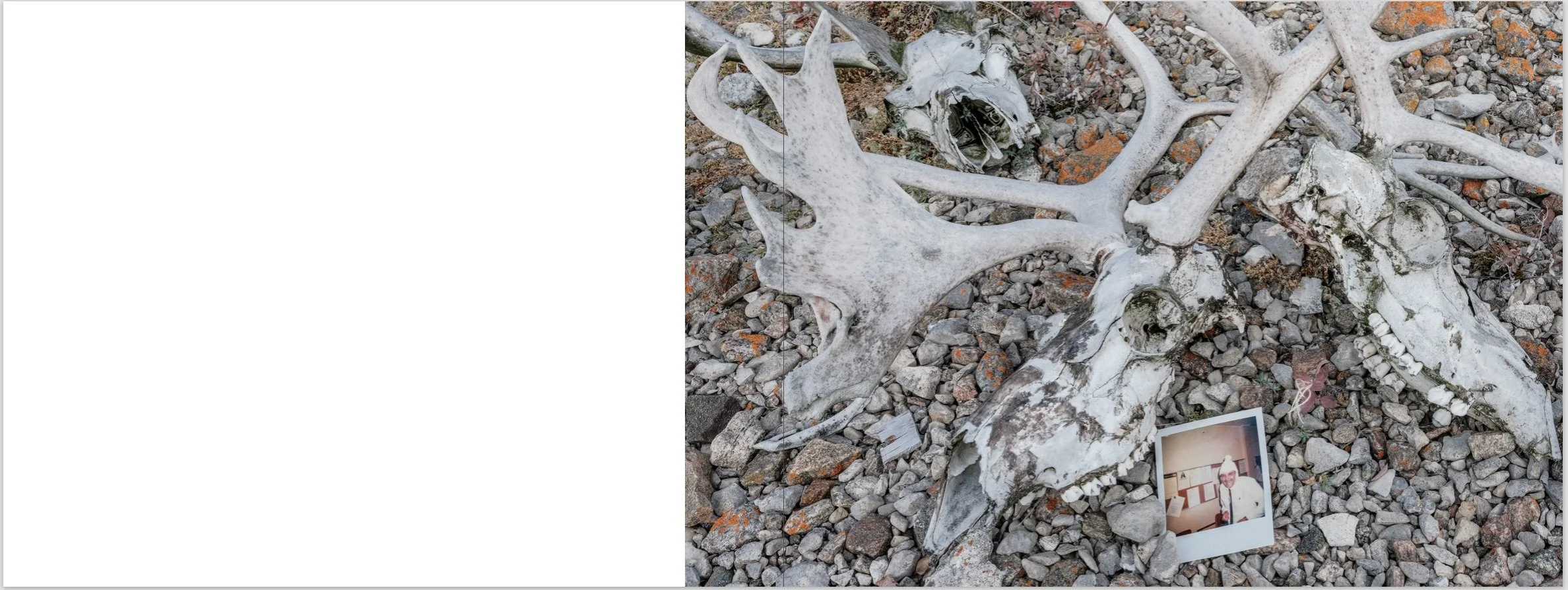 Screenshot 2026-01-19 at 5.20.12 PM.jpeg