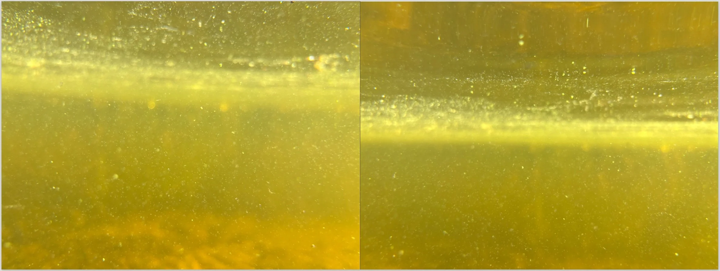 Screenshot 2026-01-20 at 6.55.37 PM.jpeg