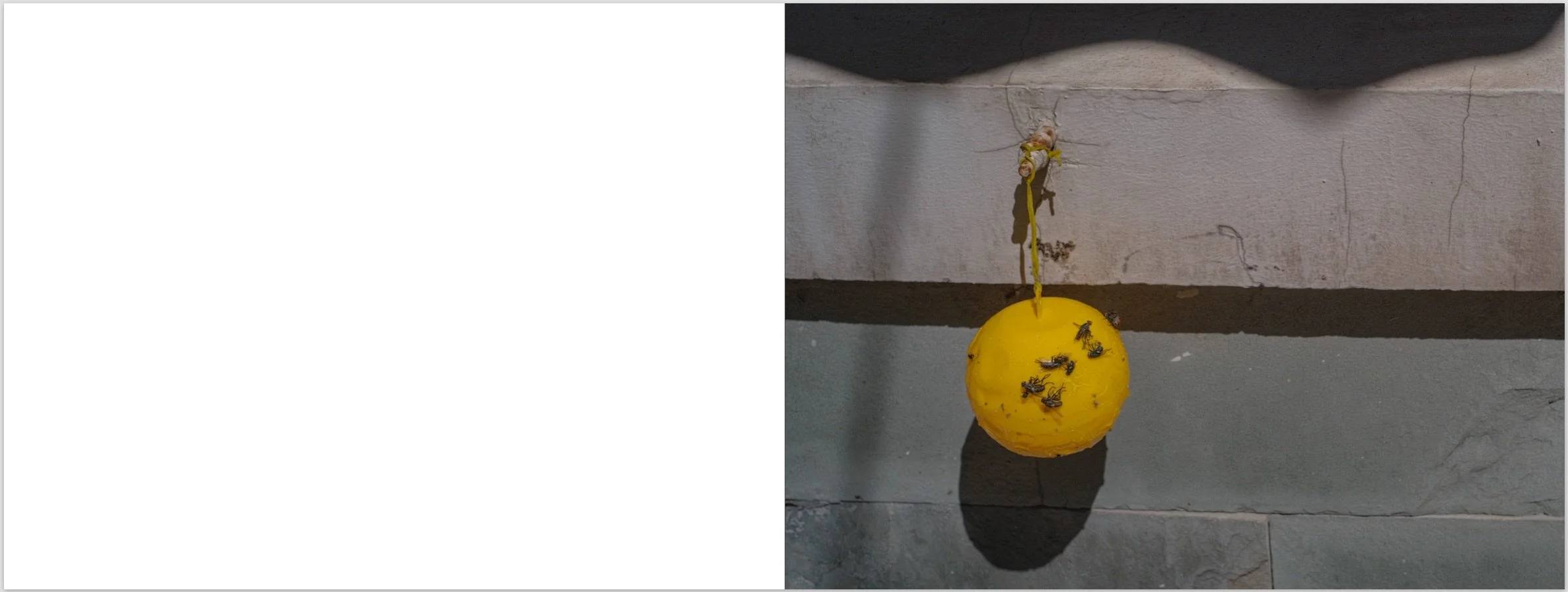 Screenshot 2026-01-19 at 8.34.55 PM.jpeg