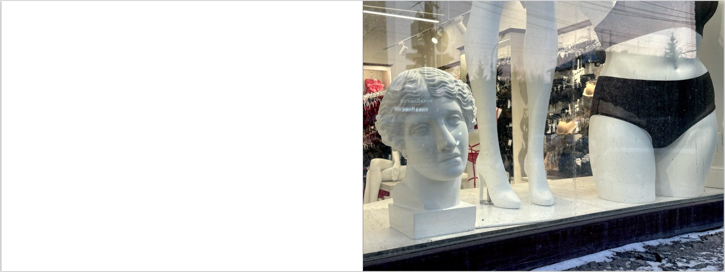 Screenshot 2026-01-19 at 5.19.55 PM.jpeg