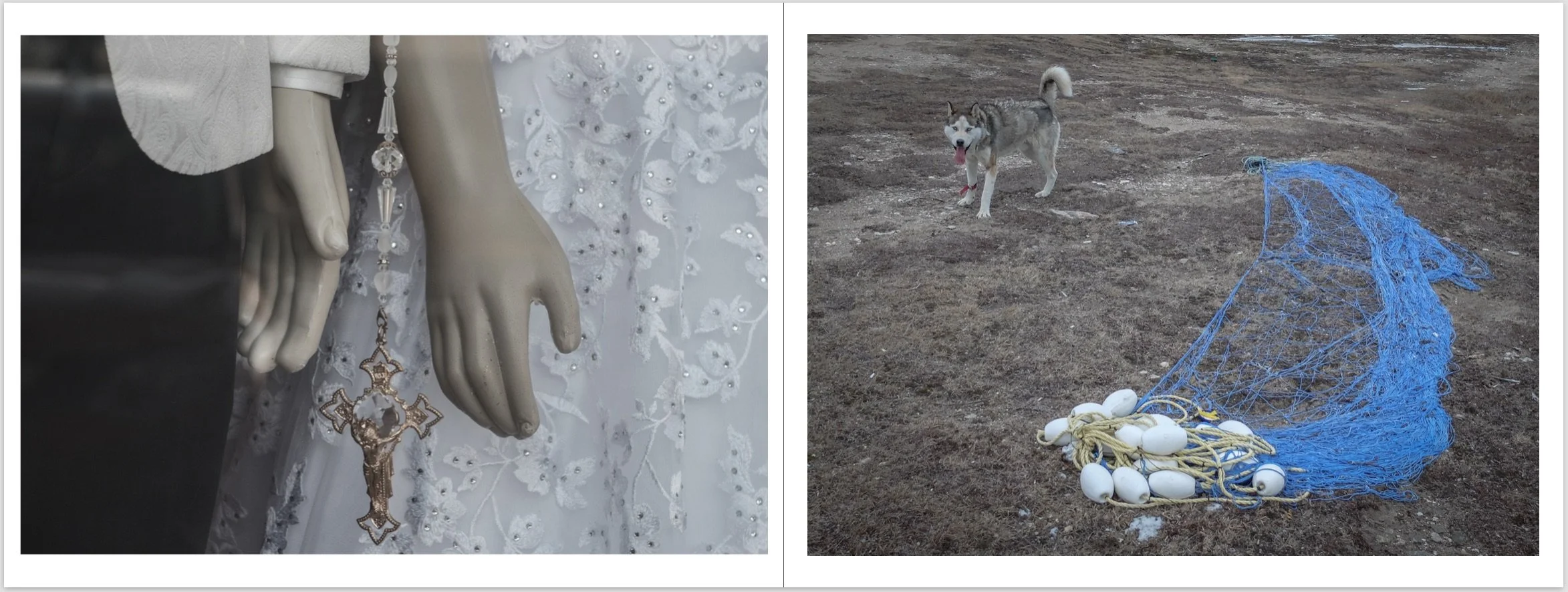 Screenshot 2026-01-17 at 10.49.03 PM.jpeg