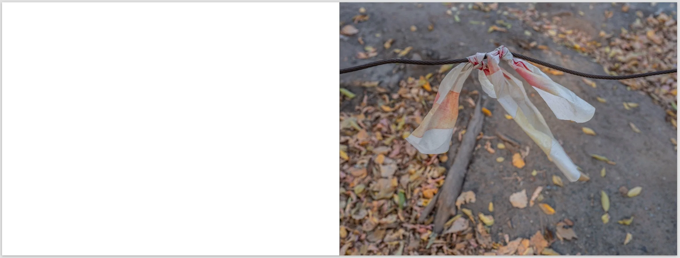 Screenshot 2026-01-17 at 10.46.03 PM.jpeg