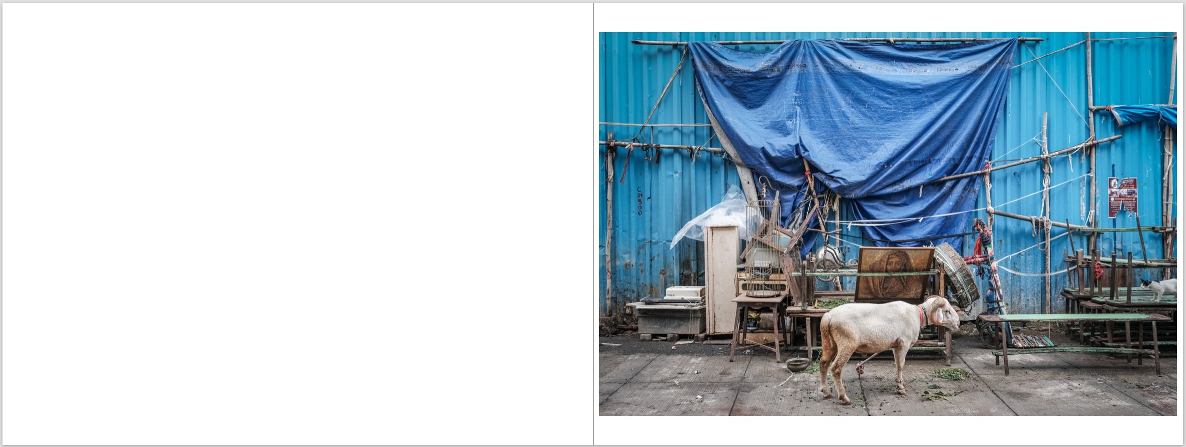 Screenshot 2026-01-19 at 5.18.26 PM.jpeg