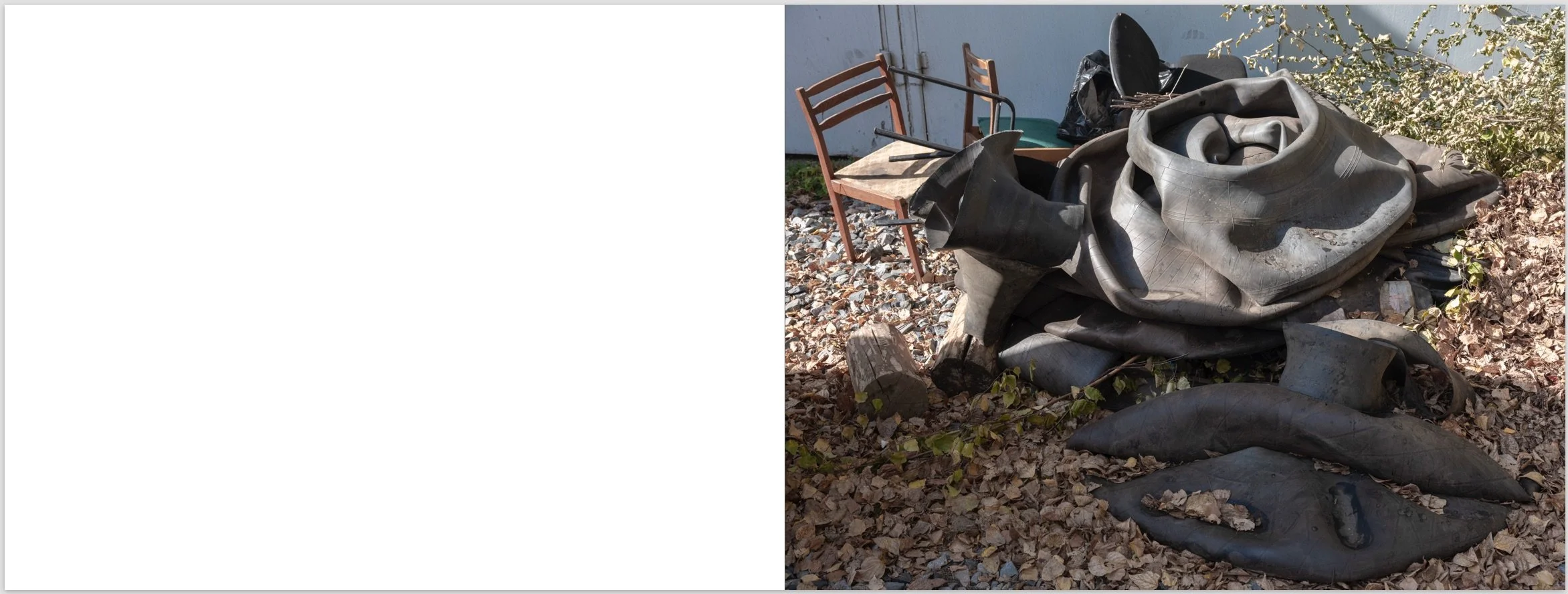 Screenshot 2026-01-17 at 10.49.39 PM.jpeg