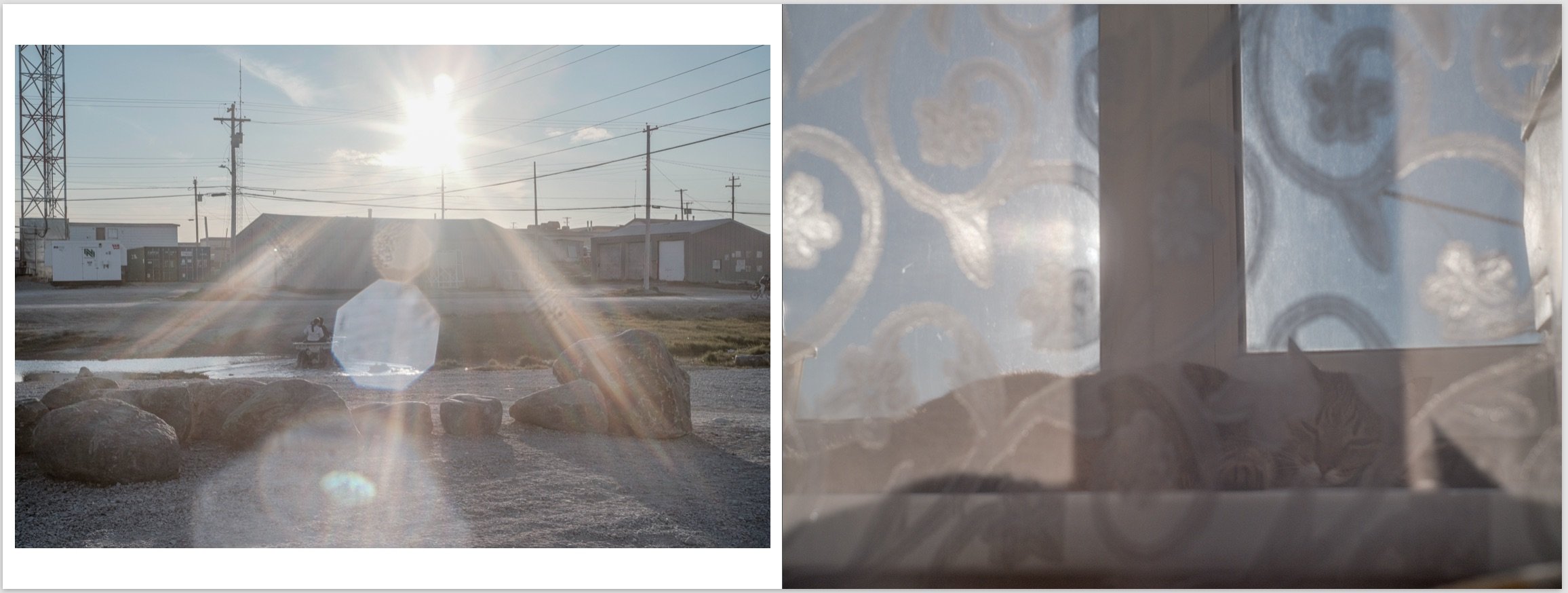 Screenshot 2026-02-01 at 10.47.08 AM.jpeg