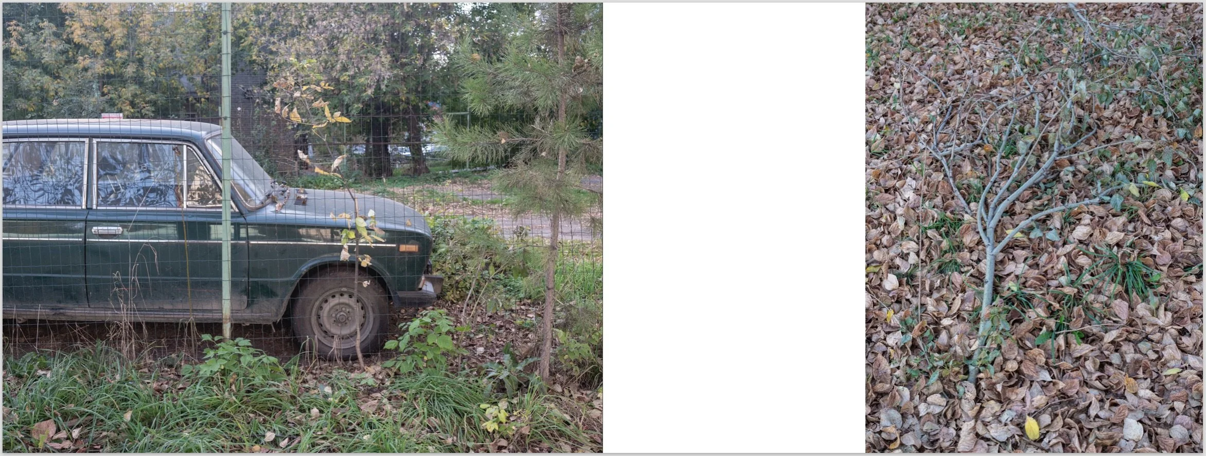 Screenshot 2026-01-17 at 10.47.40 PM.jpeg