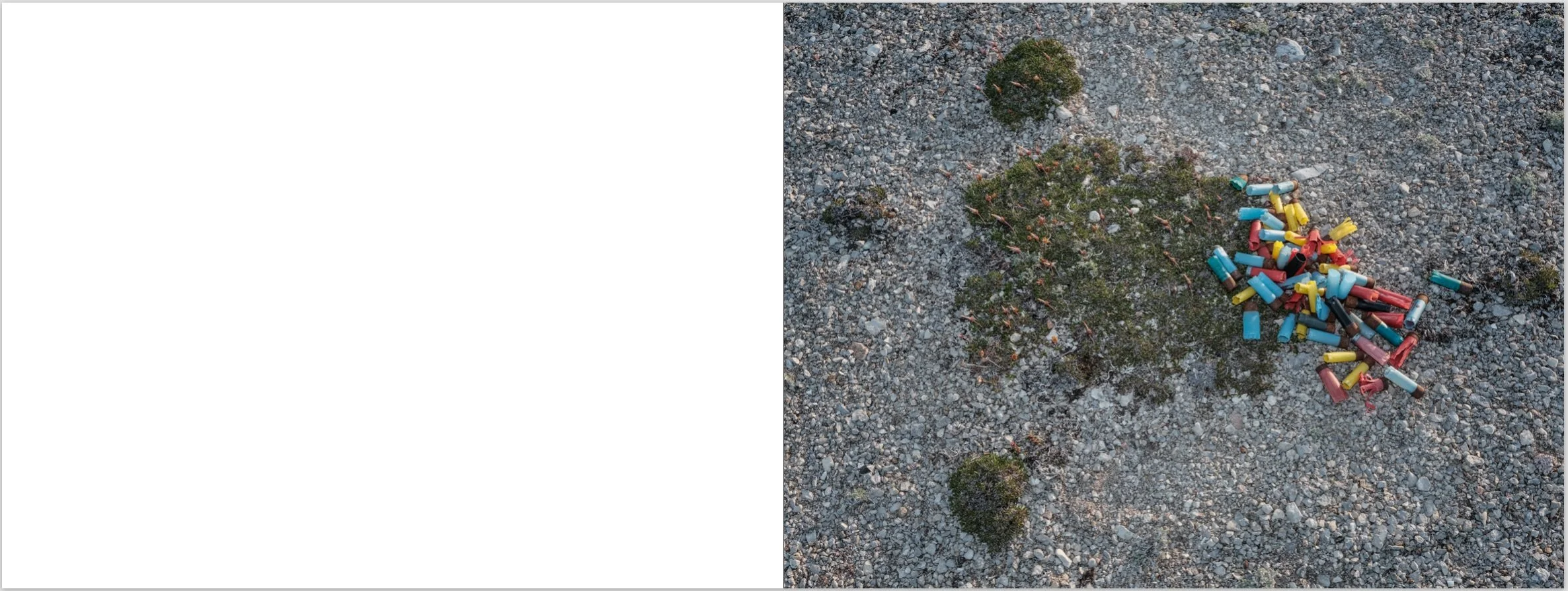 Screenshot 2026-01-19 at 8.46.07 PM.jpeg