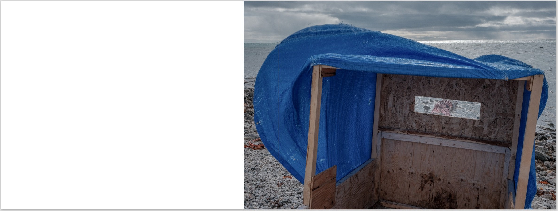 Screenshot 2026-01-19 at 8.47.01 PM.jpeg