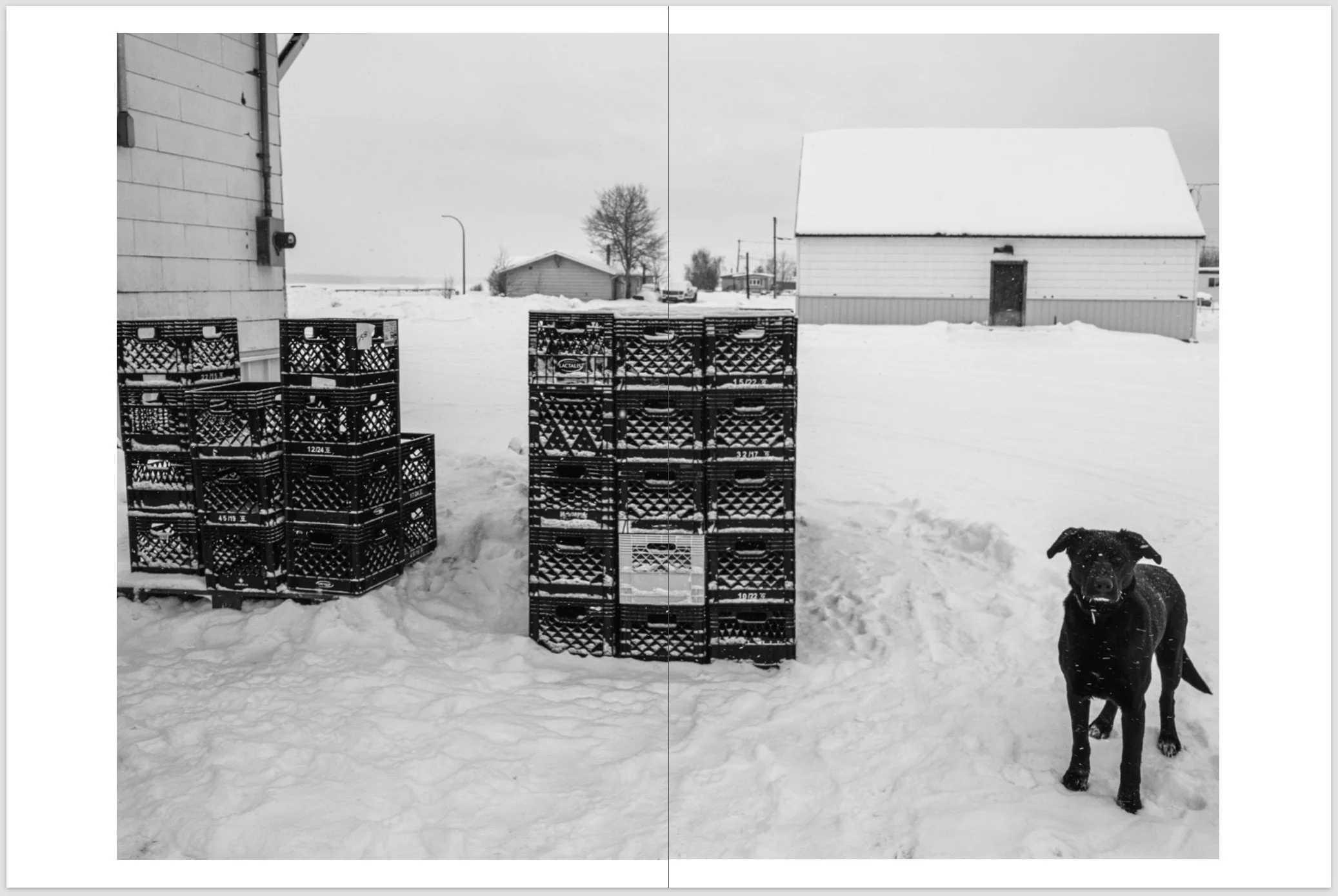 Screenshot 2026-01-01 at 11.34.51 PM.jpeg