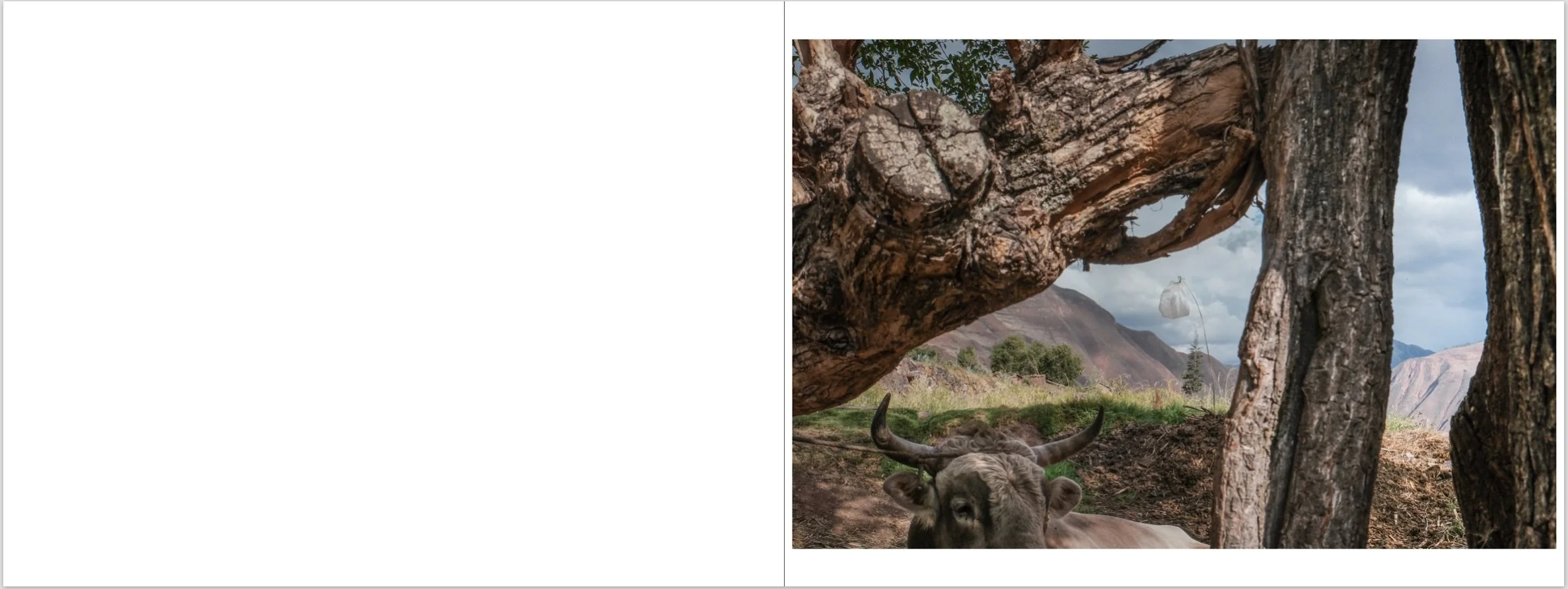 Screenshot 2026-01-19 at 5.18.04 PM.jpeg