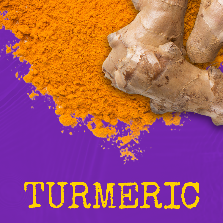 Turmeric root with ground turmeric powder on a purple background.