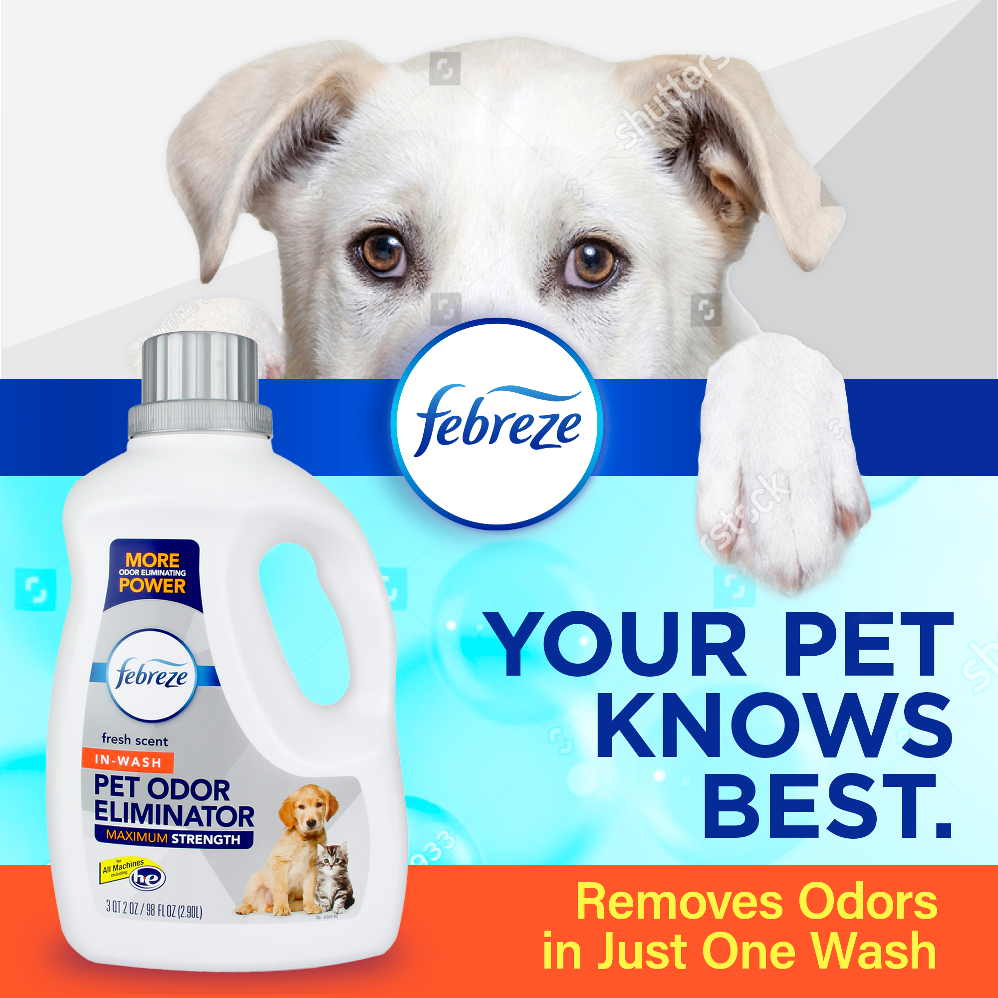 Advertisement featuring Febreze In-Wash Pet Odor Eliminator with an image of a dog and text saying 'Your Pet Knows Best. Removes Odors in Just One Wash.'