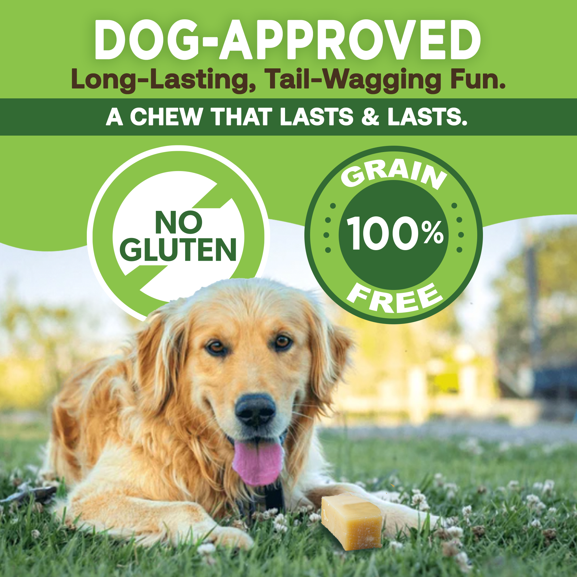 Golden retriever lying on grass with a dog chew, graphics promoting gluten-free and grain-free features.