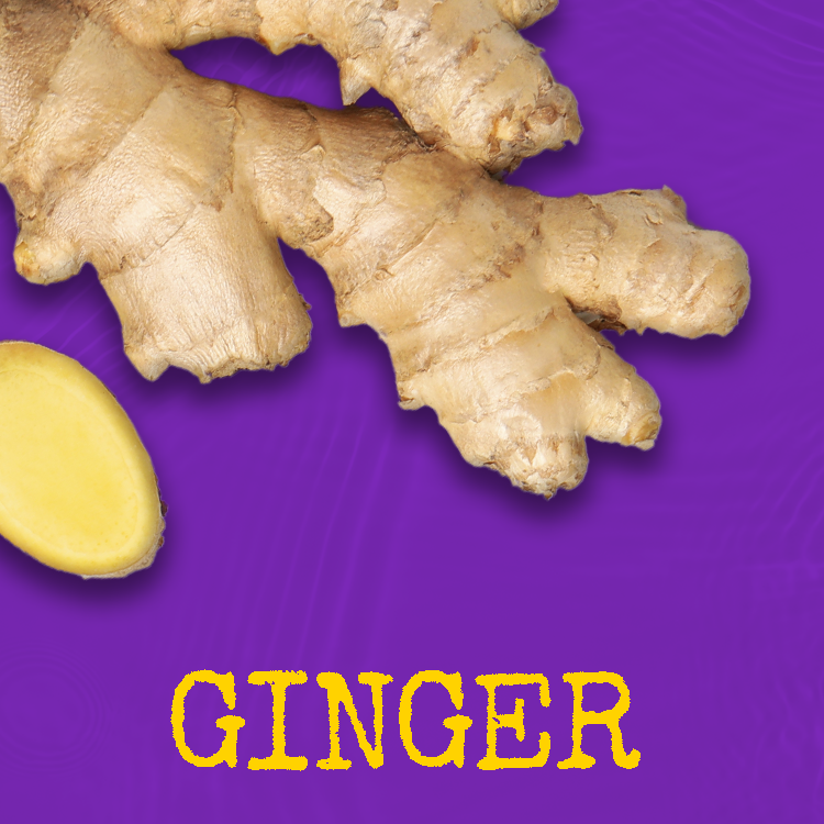 Fresh ginger root and slice on purple background with "GINGER" text.