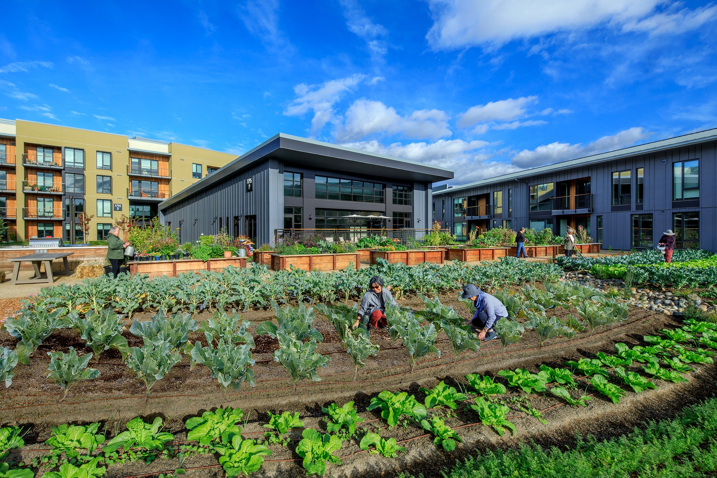 Enso Village Healdsburg by HKIT Architects