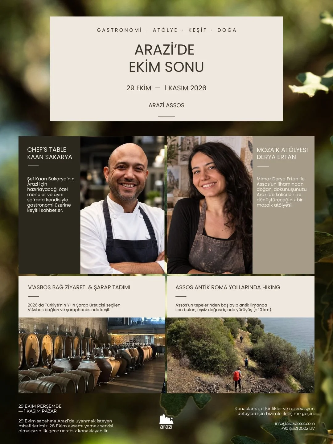 Late October at Arazi event poster