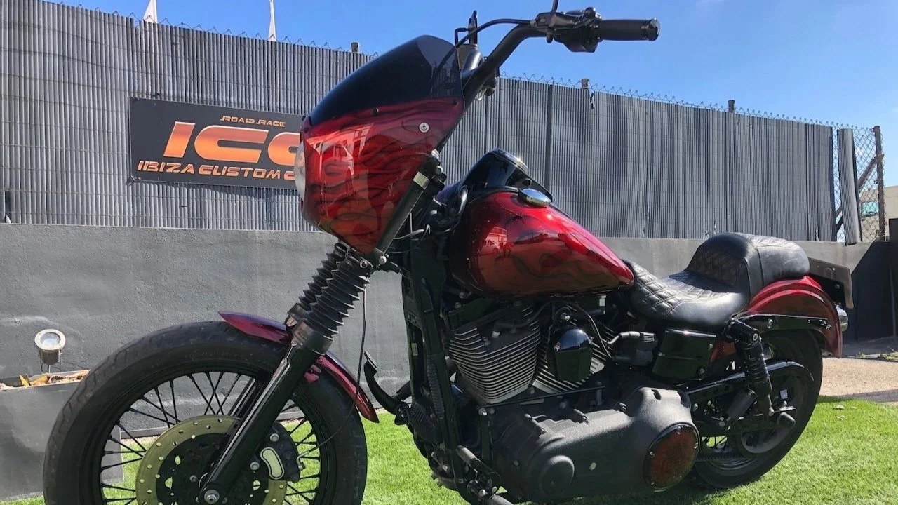 Dyna 1600 Frisco Custom