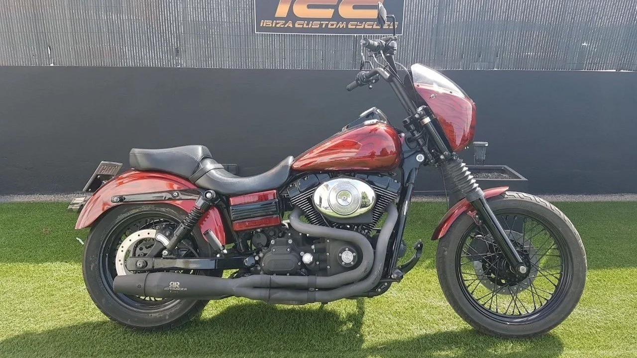 Dyna 1600 Frisco Custom