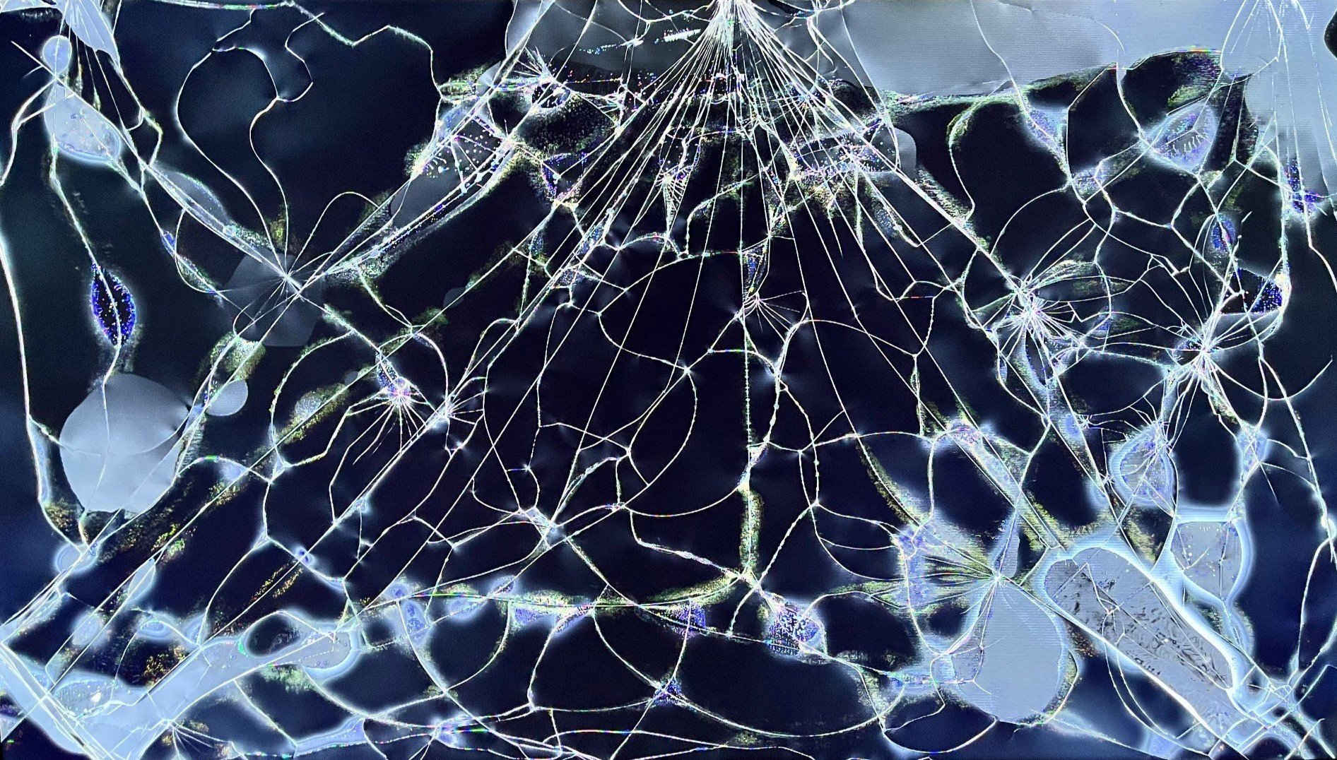Cosmic+Art+110+-+The+Cosmic+Web.jpg