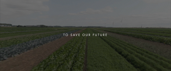 aea133_a3af9893954c4944b8d8c205bf17e8e0~mv2.gif