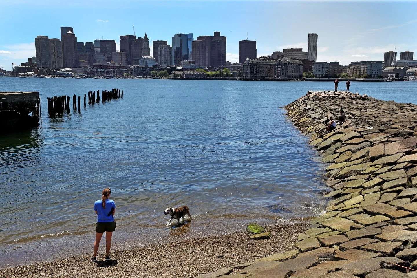 Health equity, the epidemic of loneliness, and Boston’s waterfront