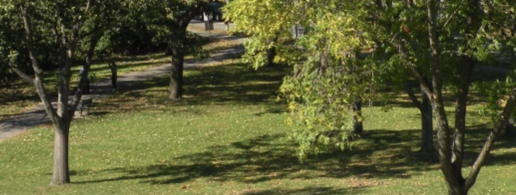 Park Serve Day Cleanup at Macdonald Park