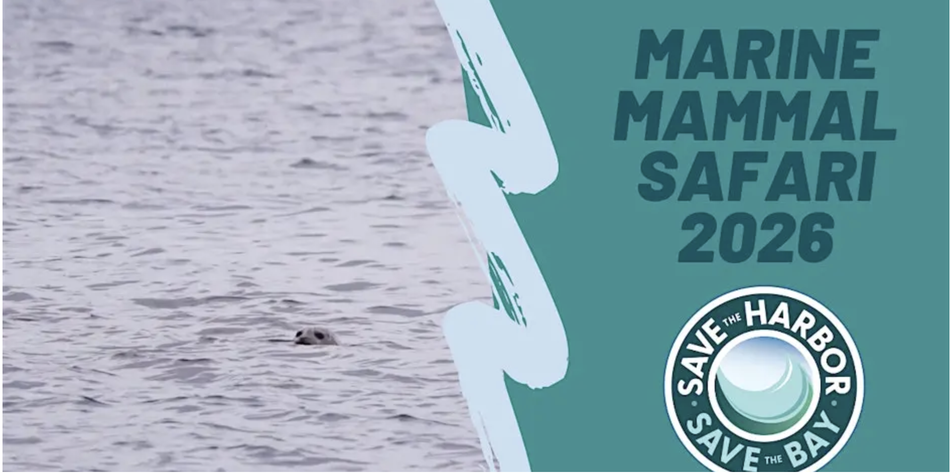 Marine Mammal Safari Free Cruises (3 time slots)